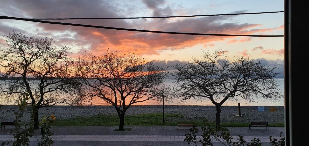 Nafpaktos Beach House Sea View Apartment First Floor エクステリア 写真